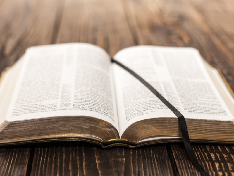 Björn Ranelid vs Ulf Danielsson